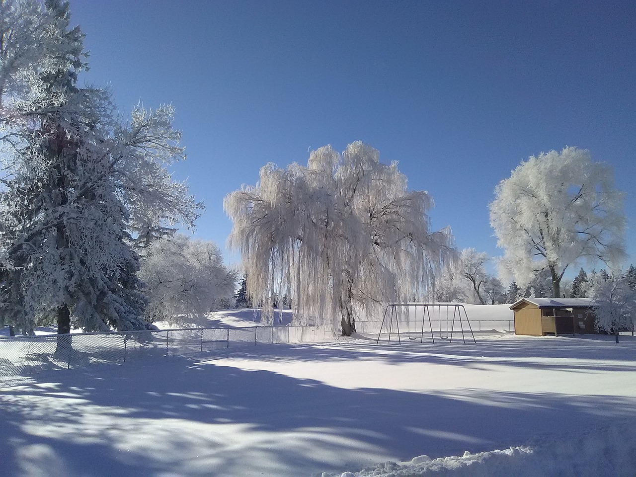 winter scenery landscape free photo