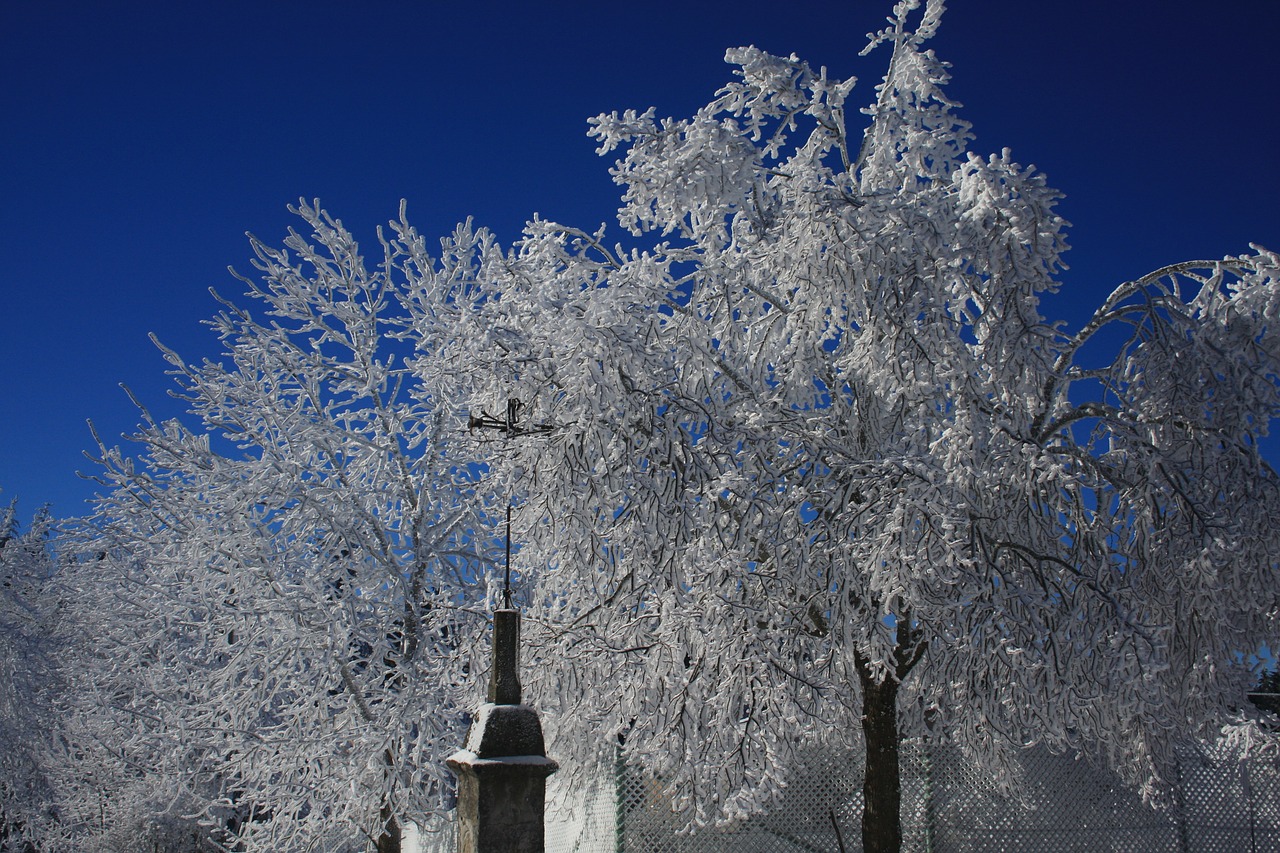 winter cross snow free photo