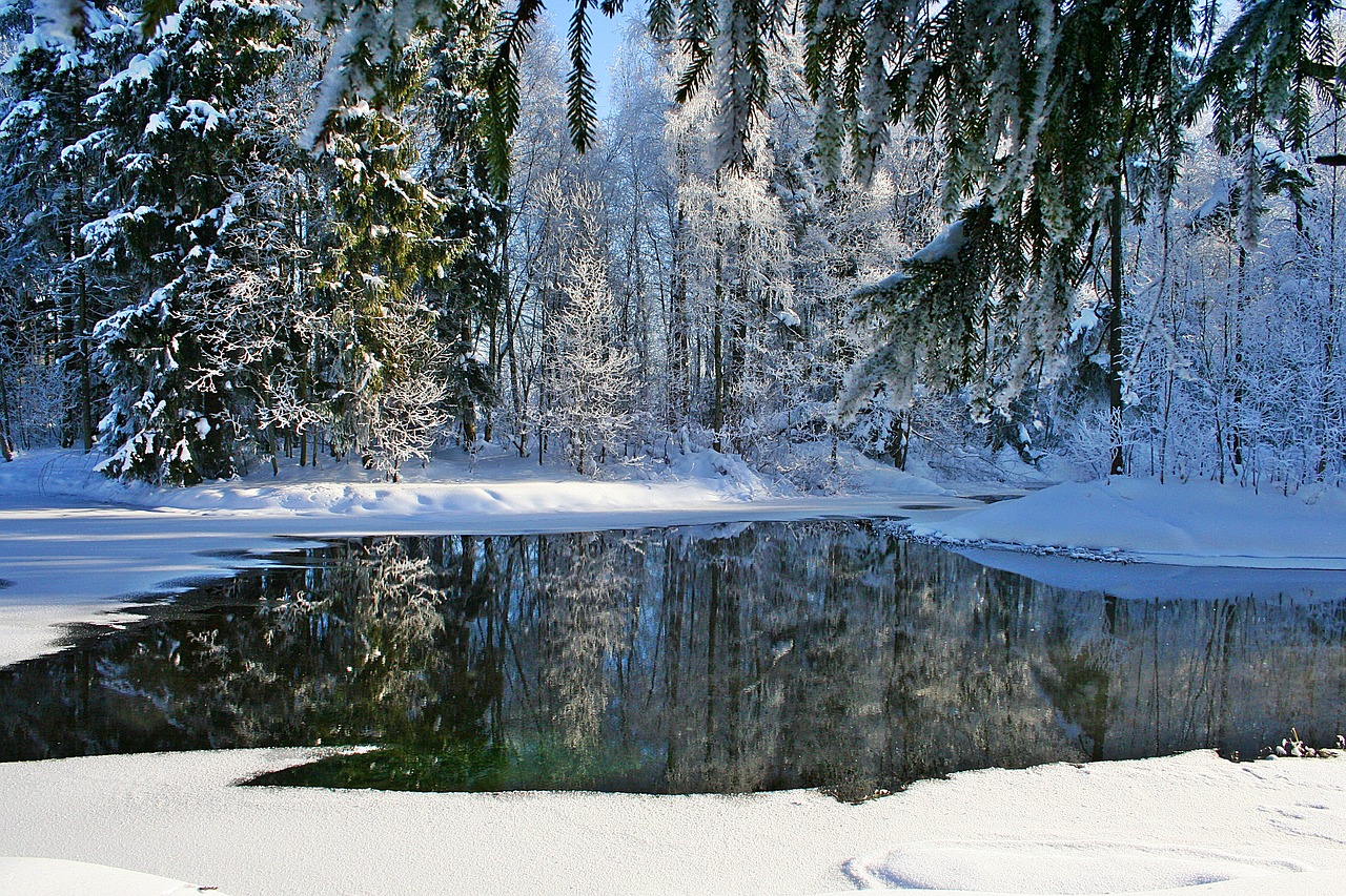 winter gatchina frost free photo