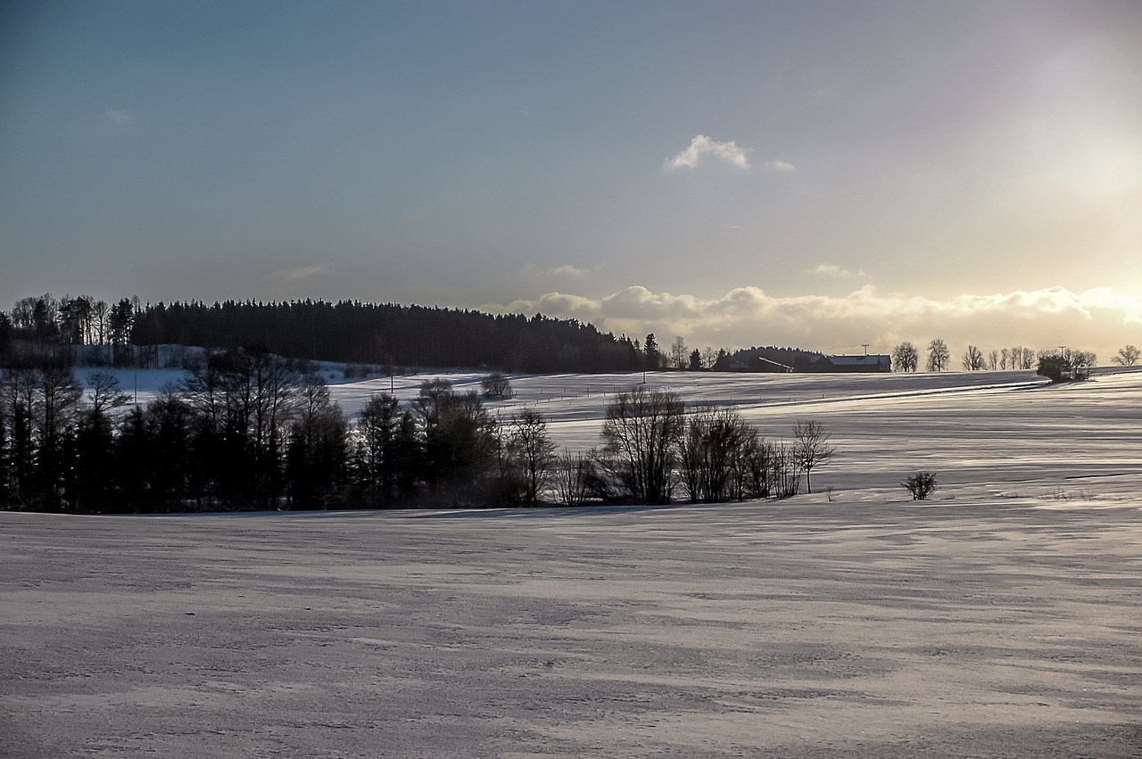 winter snow evening sun free photo