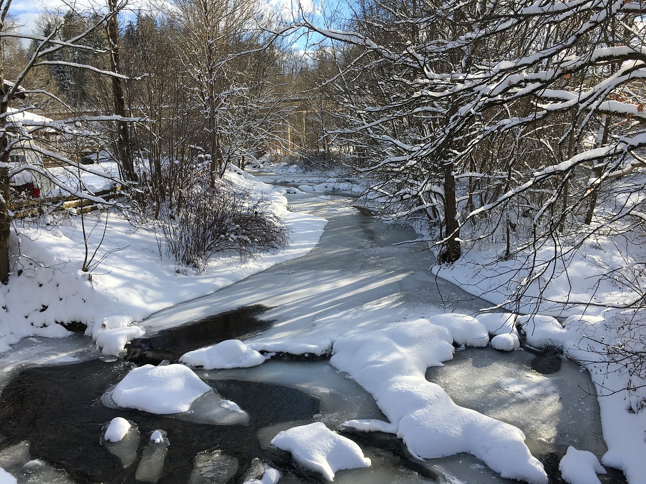 winter snow landscape free photo