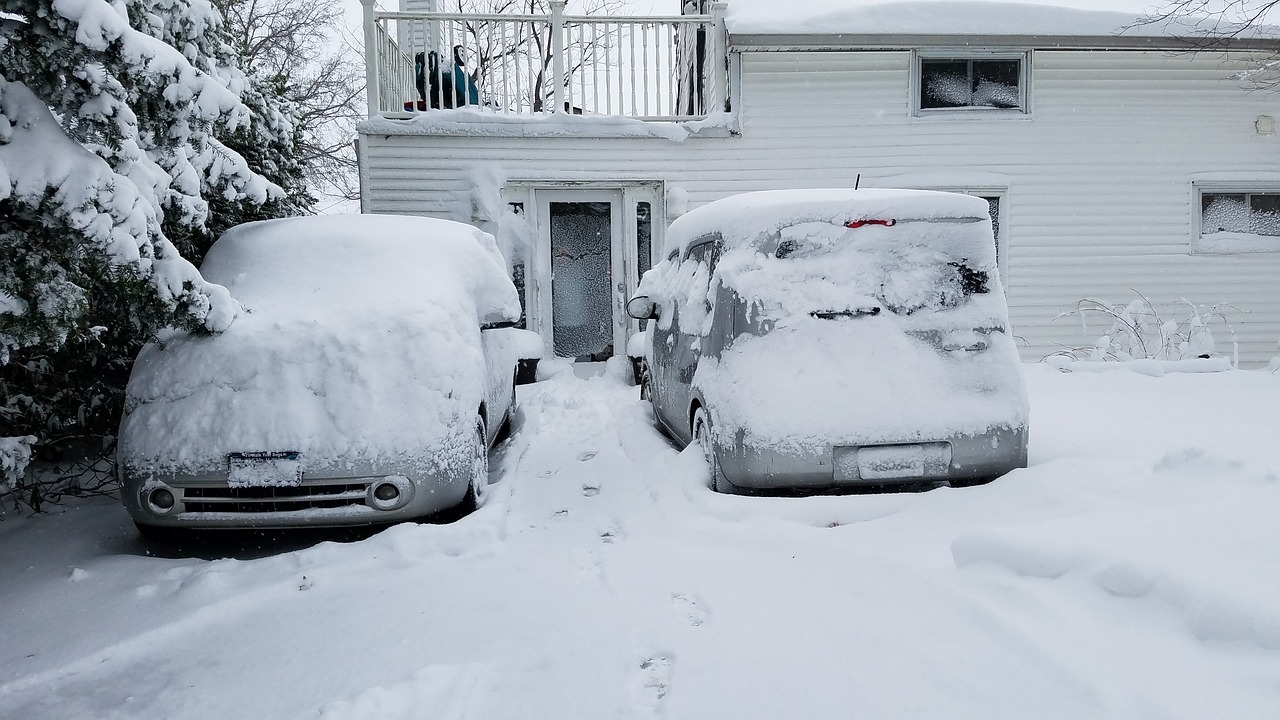 winter snow snowdrift free photo