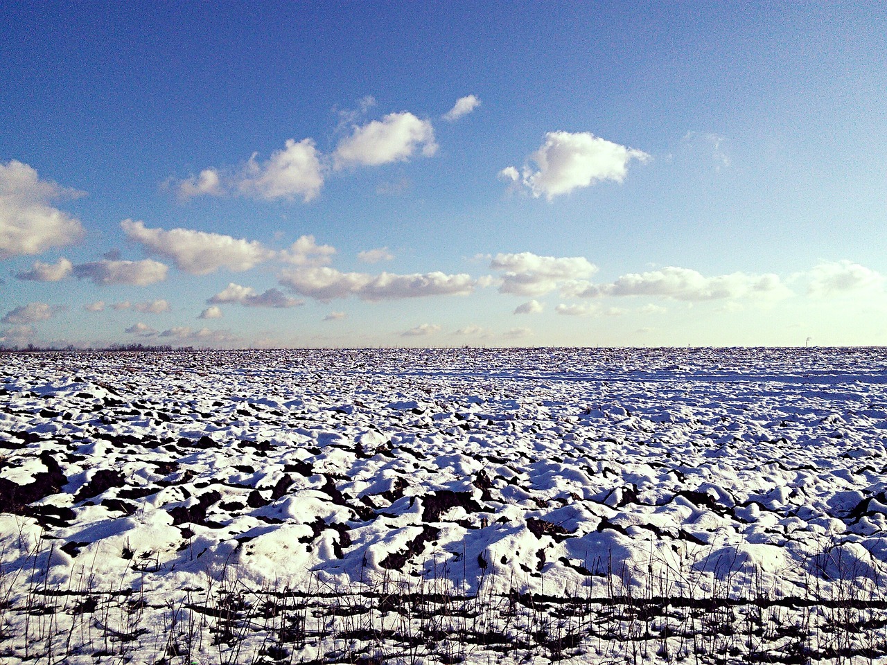 winter field snow free photo