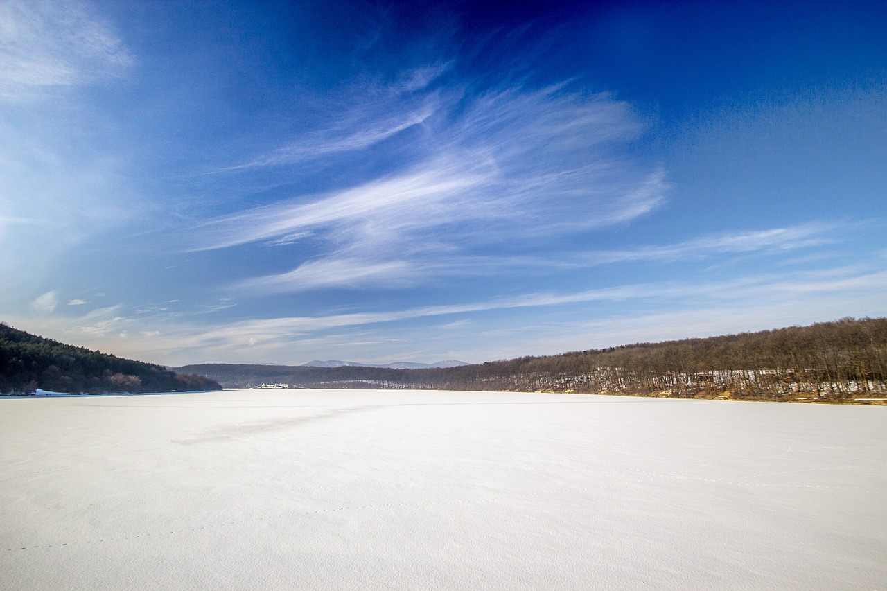 winter snow frost free photo