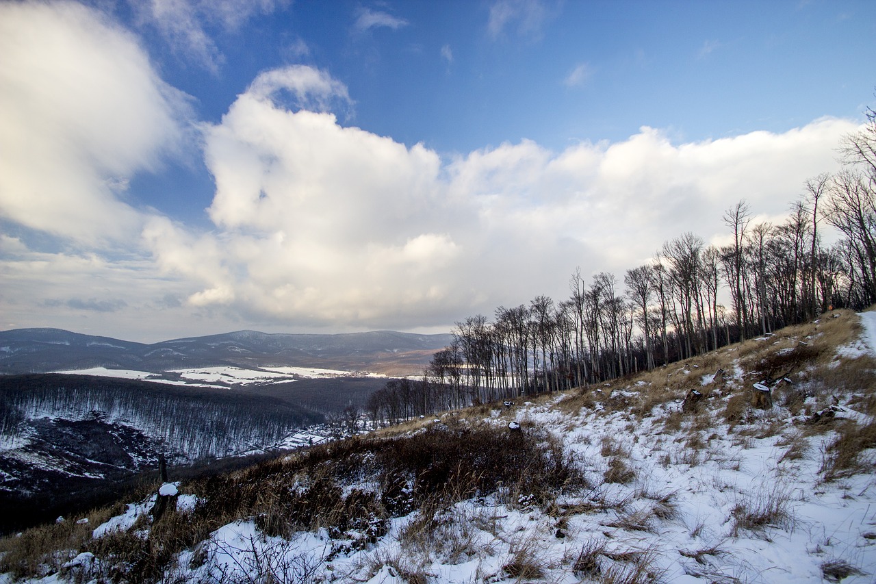 winter country snow free photo