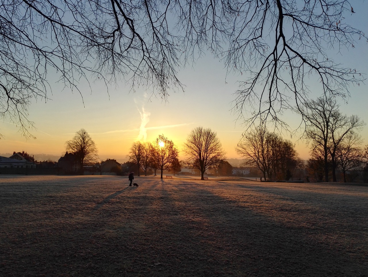 winter frost christmas free photo