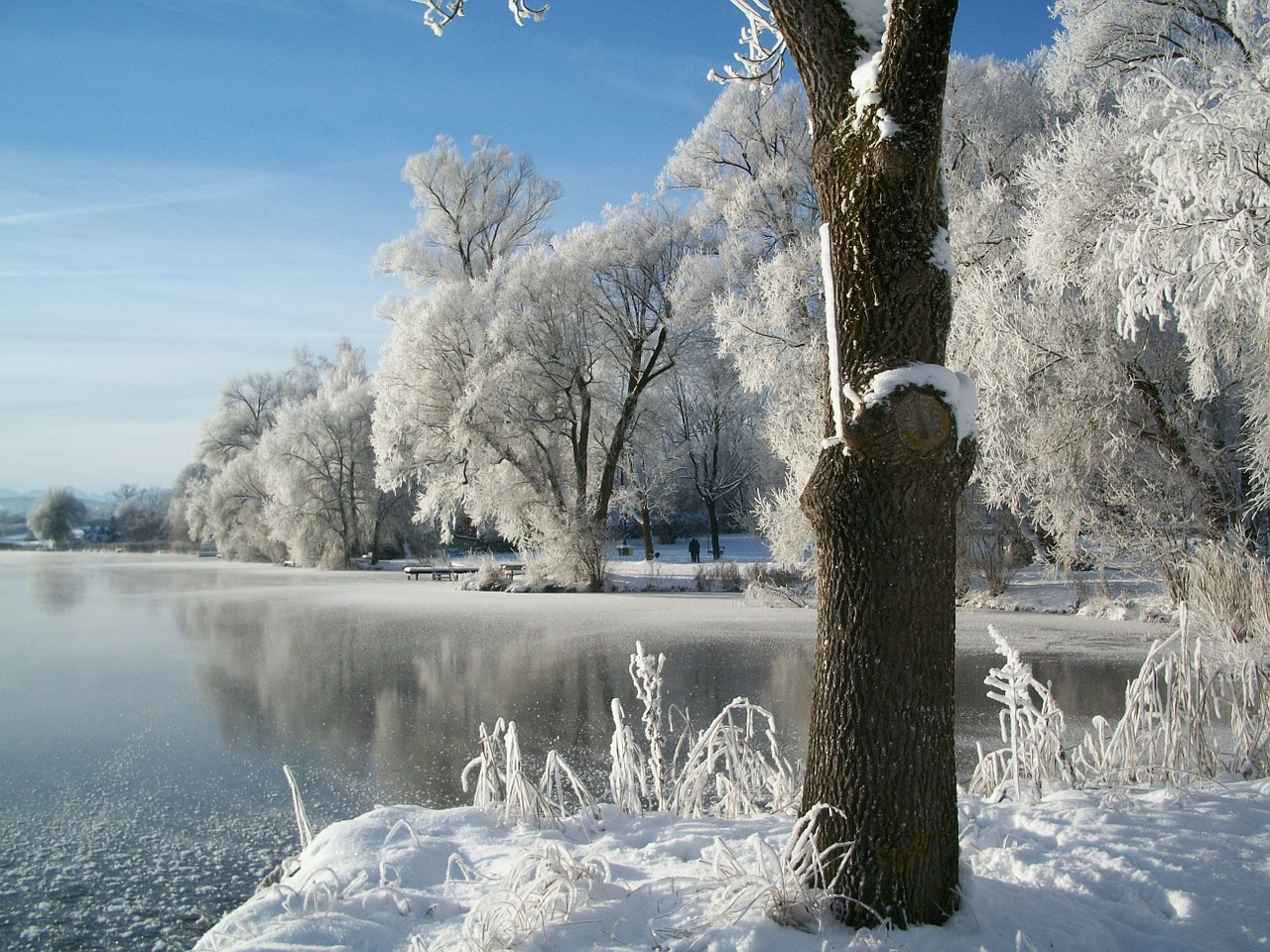 winter snow pond free photo