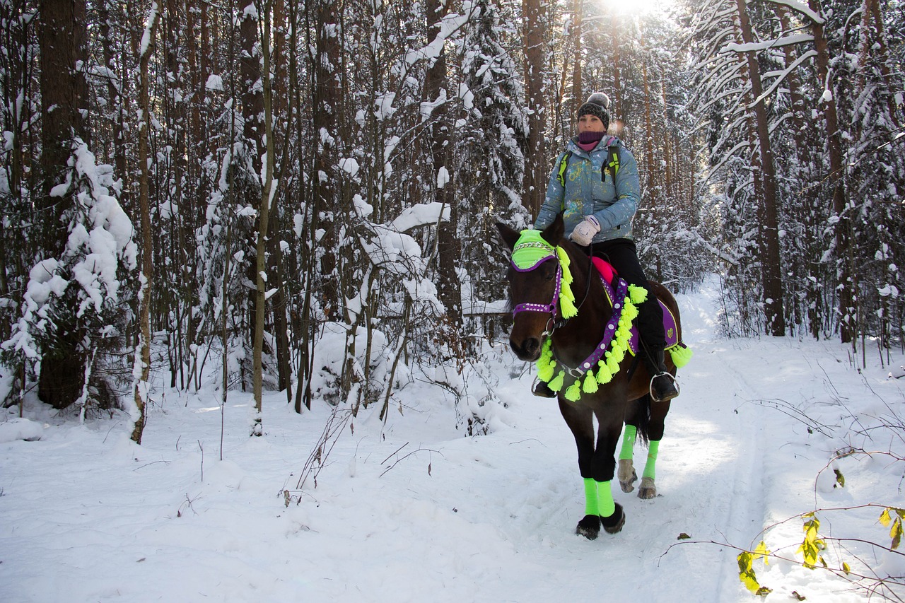 winter forest horse free photo