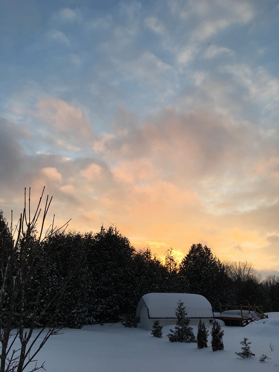 winter subset backyard free photo