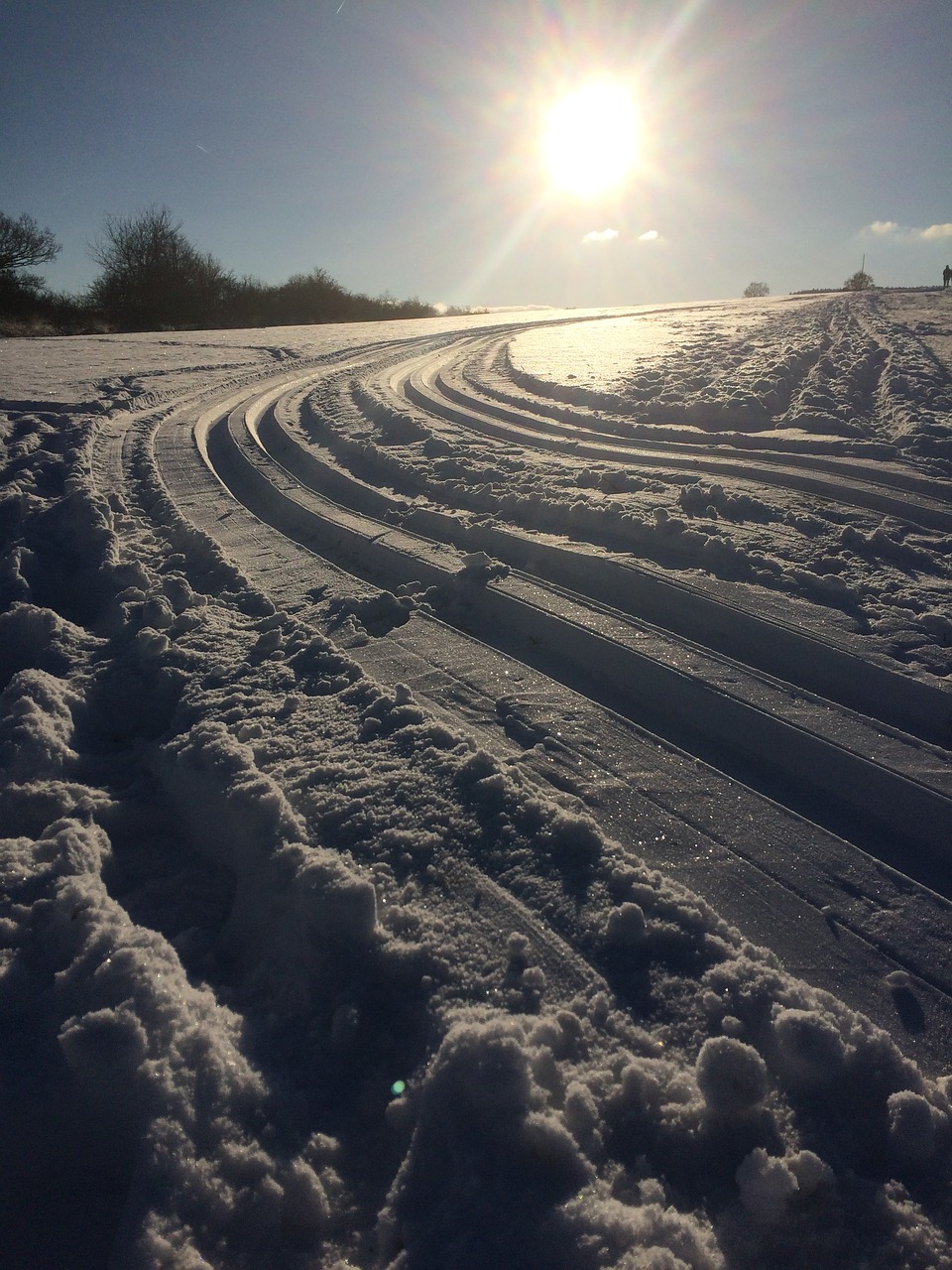 winter sunny day cute free photo