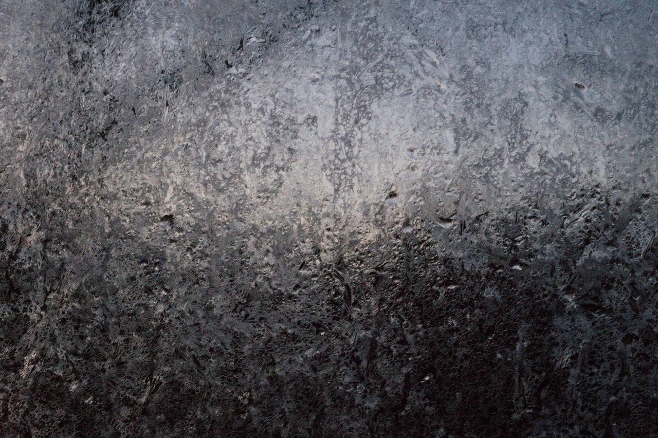 winter frost ice free photo