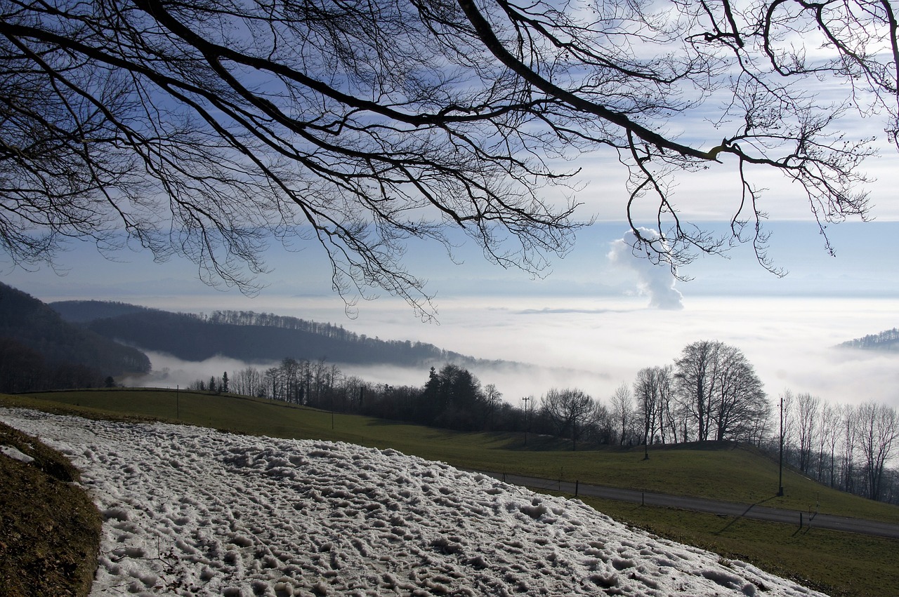winter fog switzerland free photo