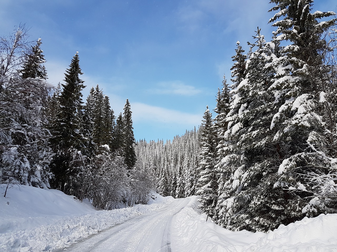 winter landscape winter landscapes free photo