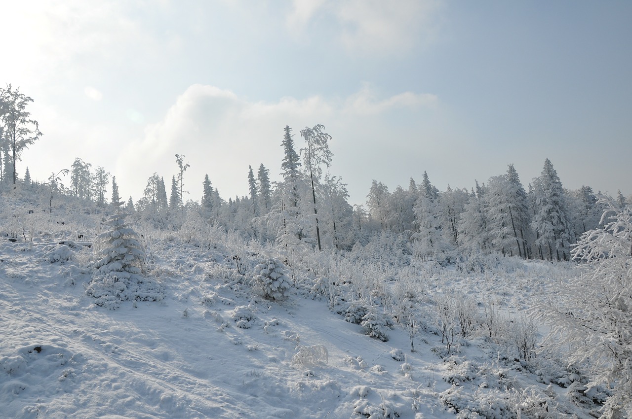 winter mountains snow free photo