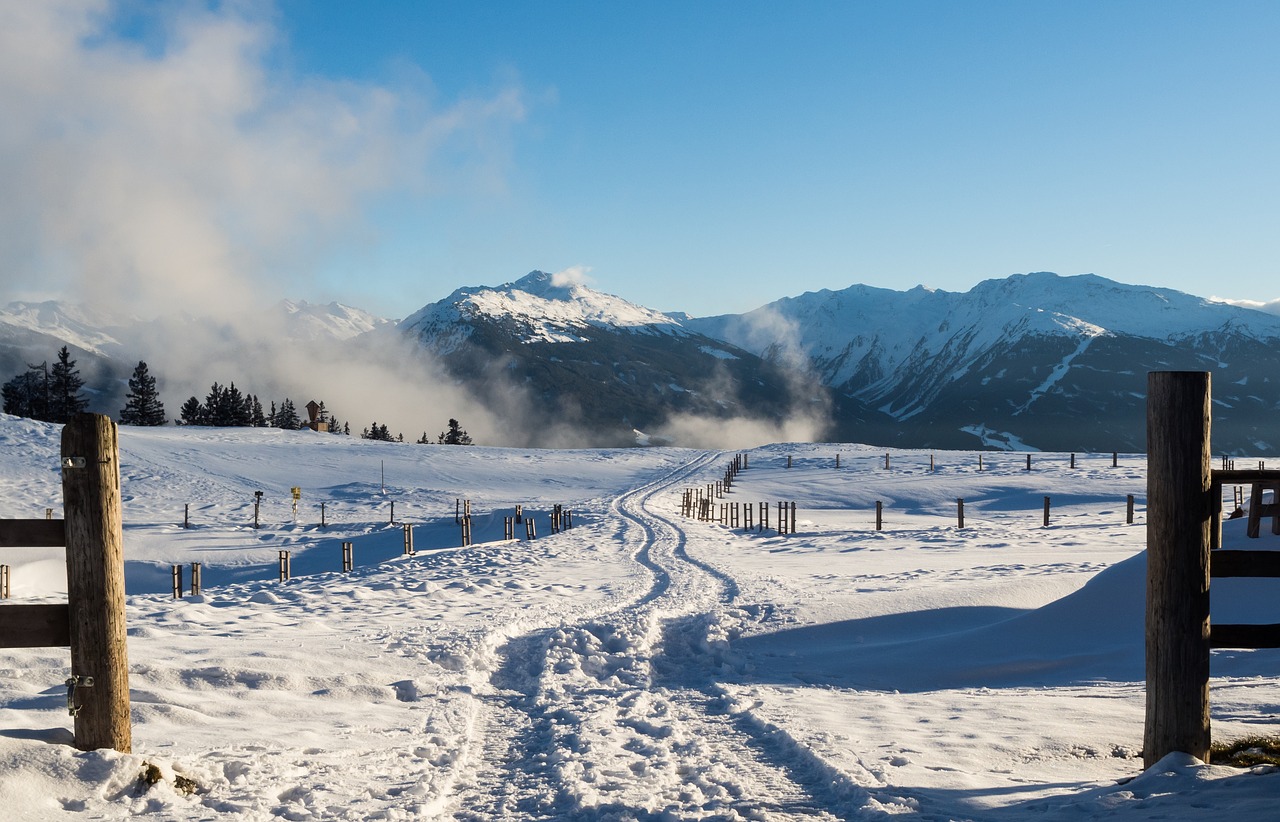 winter snow tuxer alps free photo