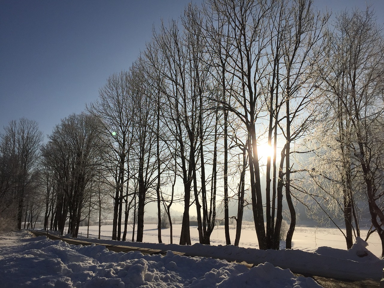 winter snow wintry free photo