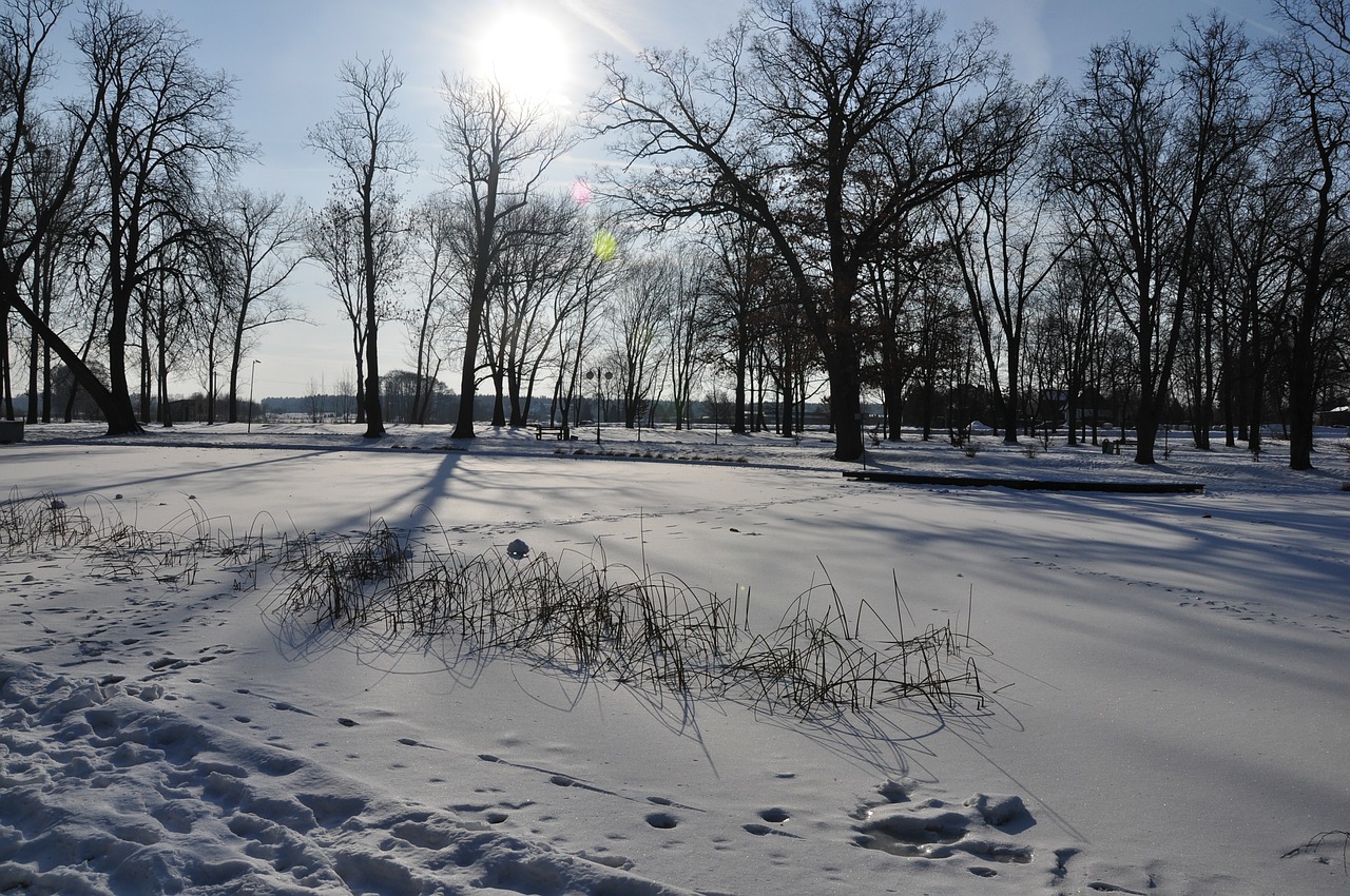 winter white poland free photo