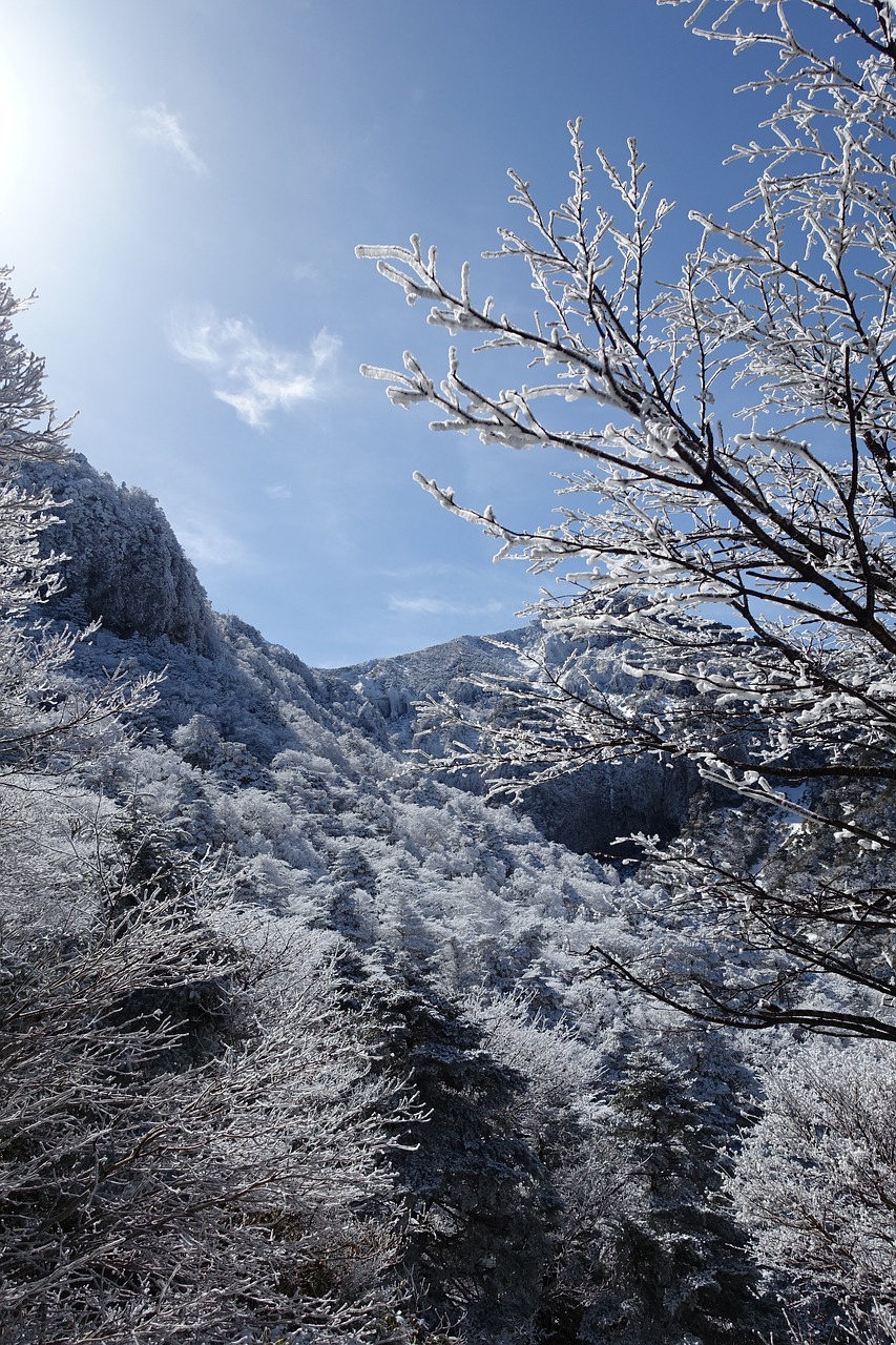 winter snow mountain jeju island free photo