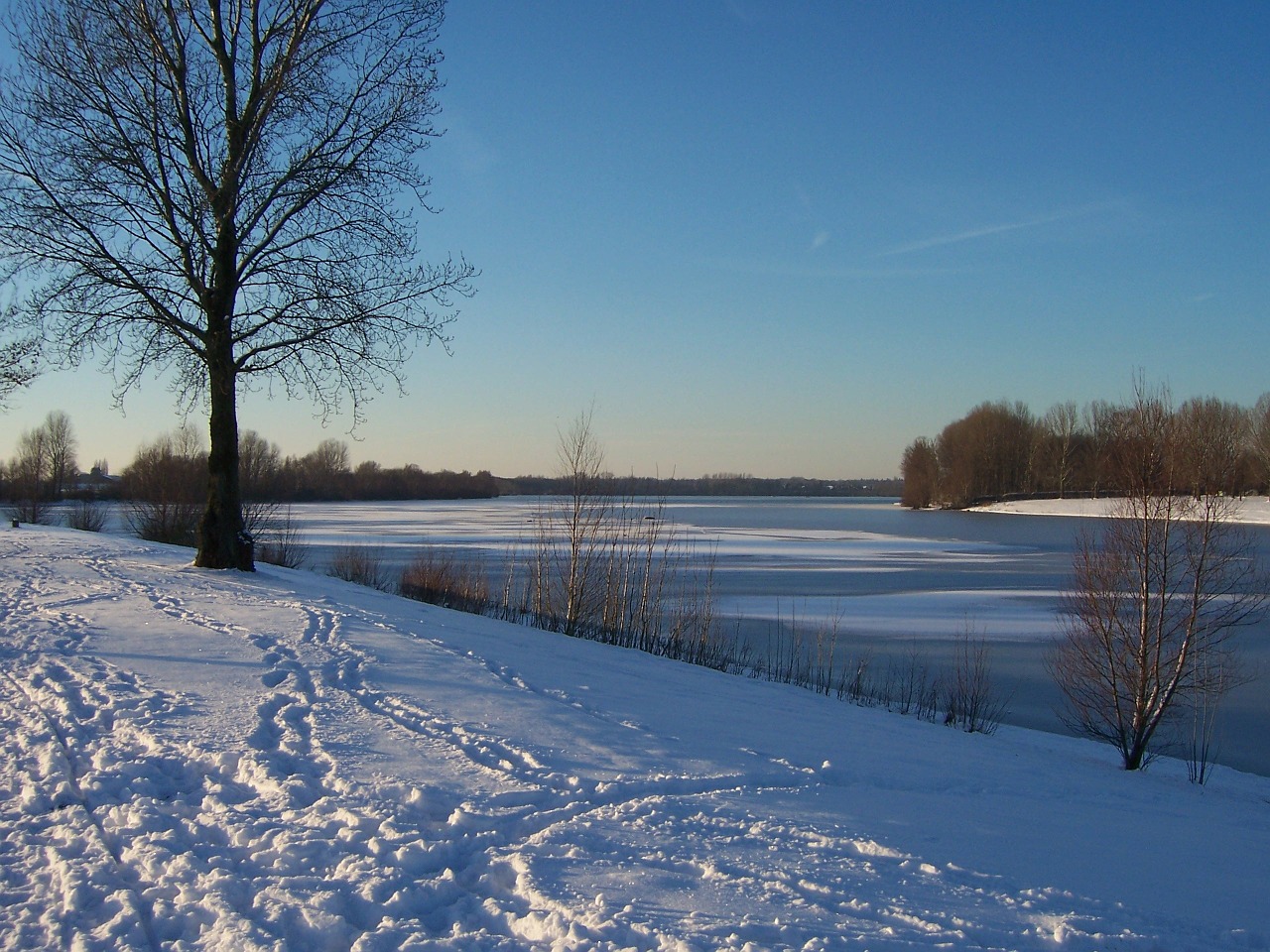 winter snow footprints free photo