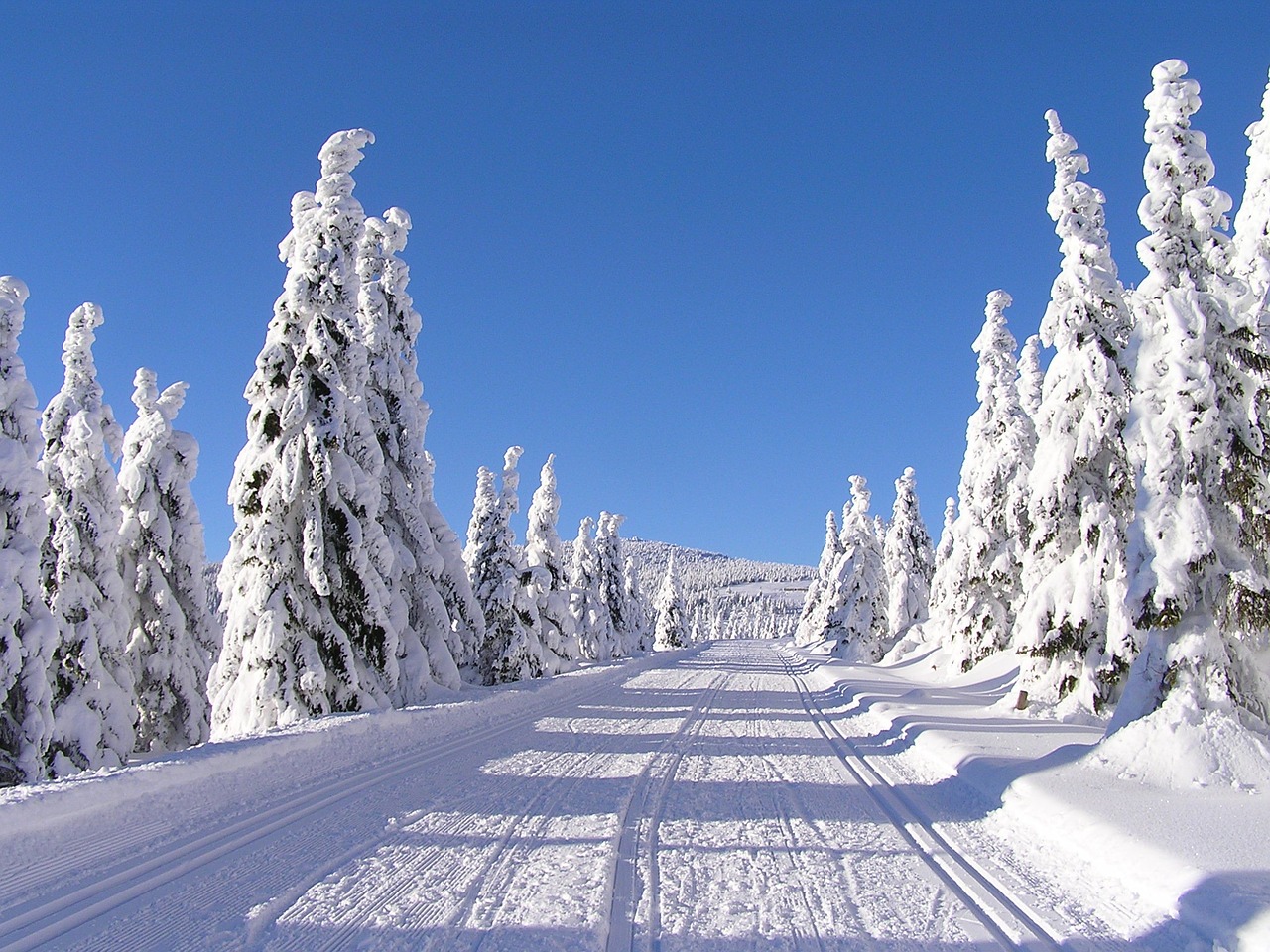 winter mountains the giant mountains free photo