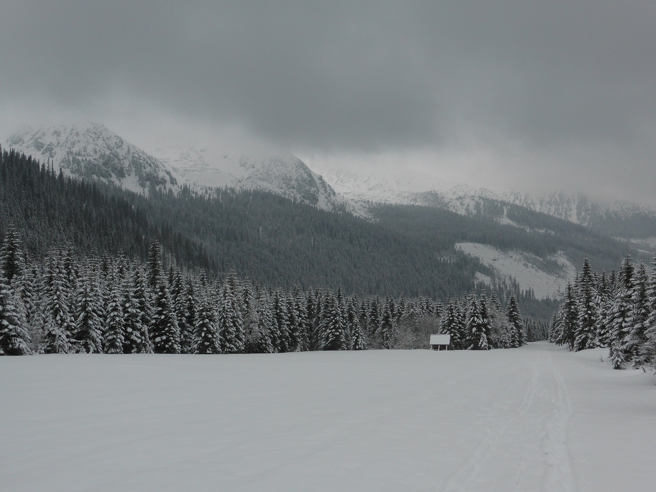 winter slovakia tatry free photo