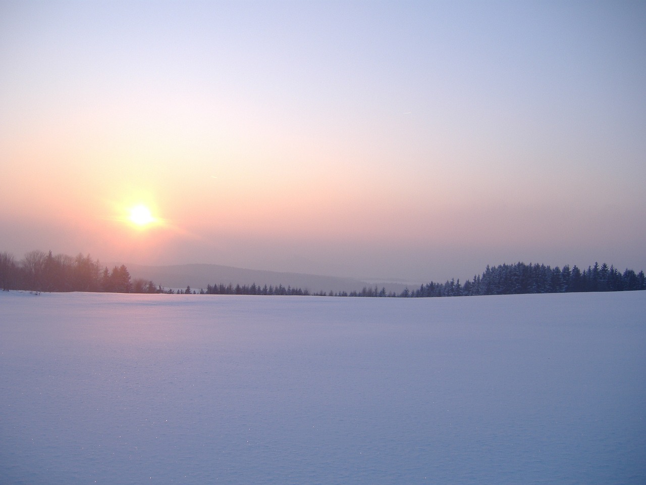 winter snow white free photo