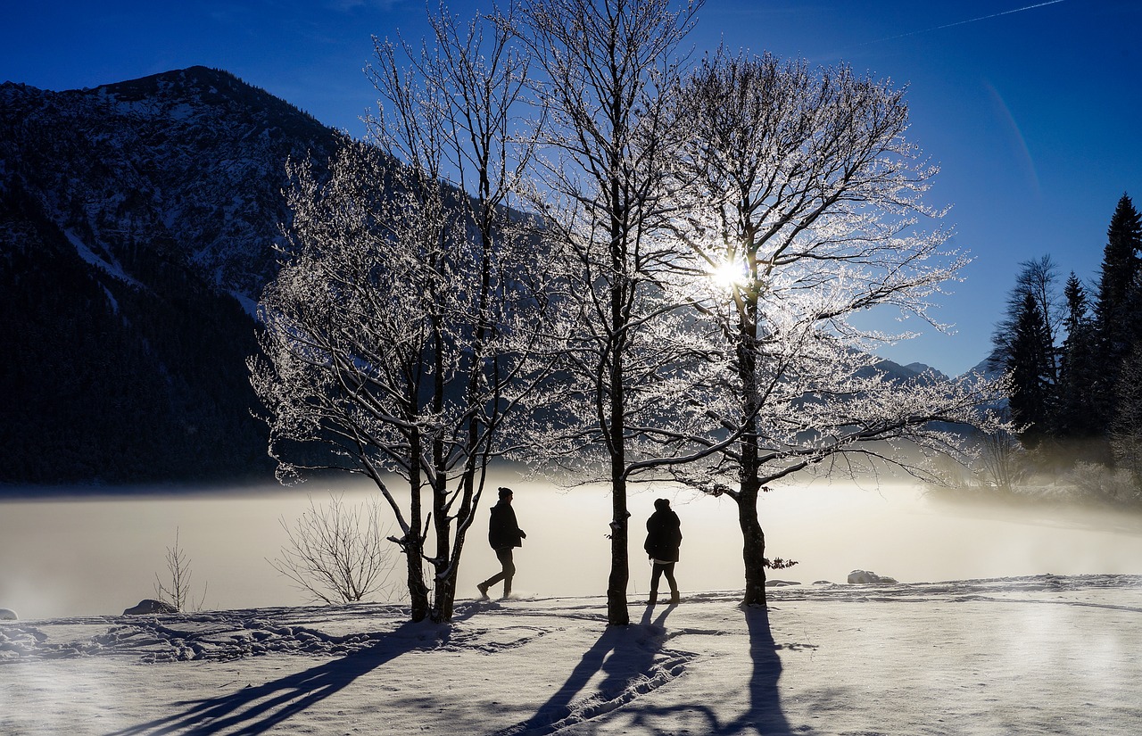 winter lake ice free photo