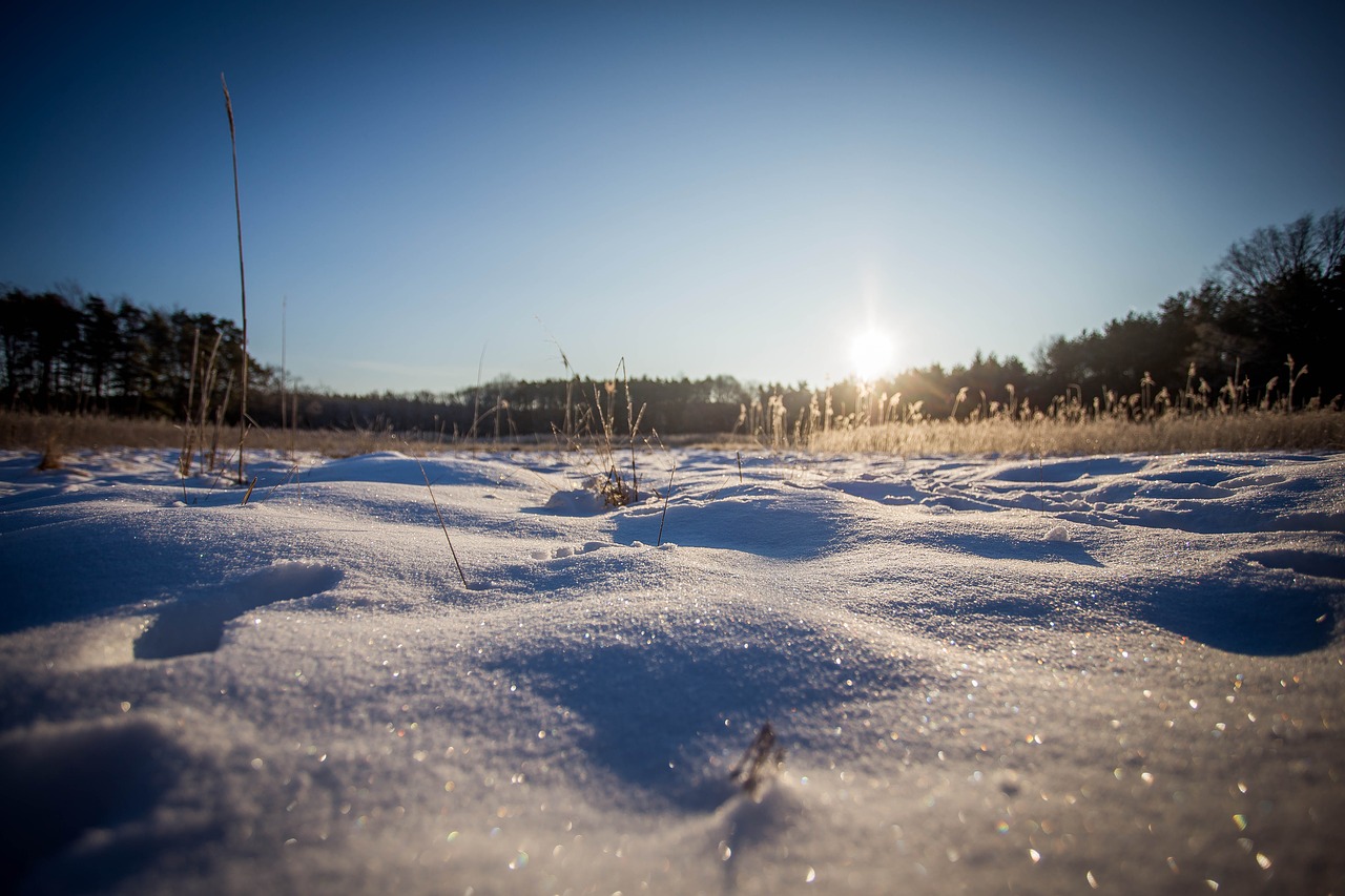 winter sunrise winter sunrise free photo