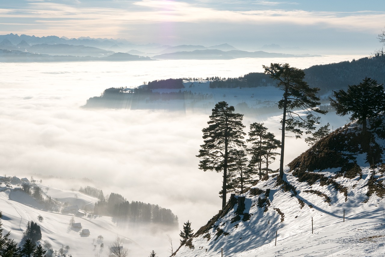 winter landscape mountains free photo