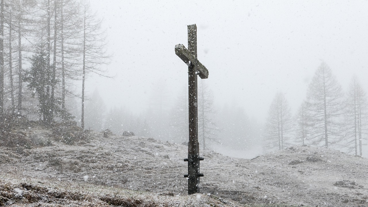 winter snow snowfall free photo