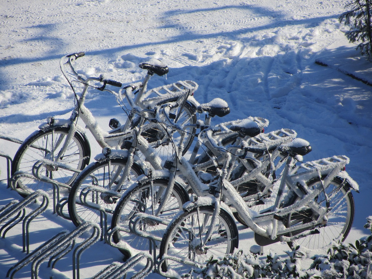 winter cycling white free photo