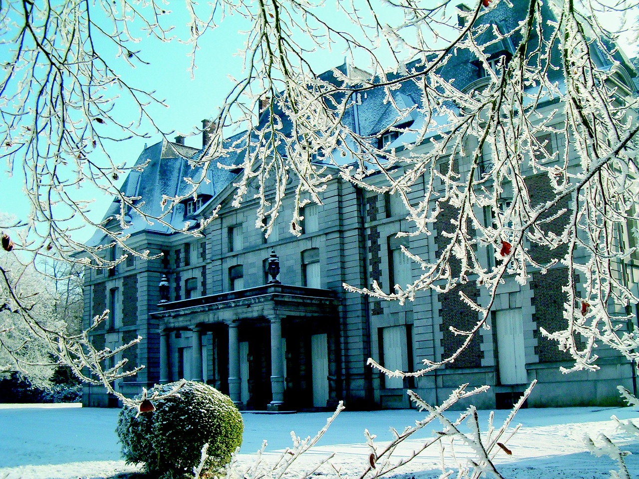 winter castle snow free photo