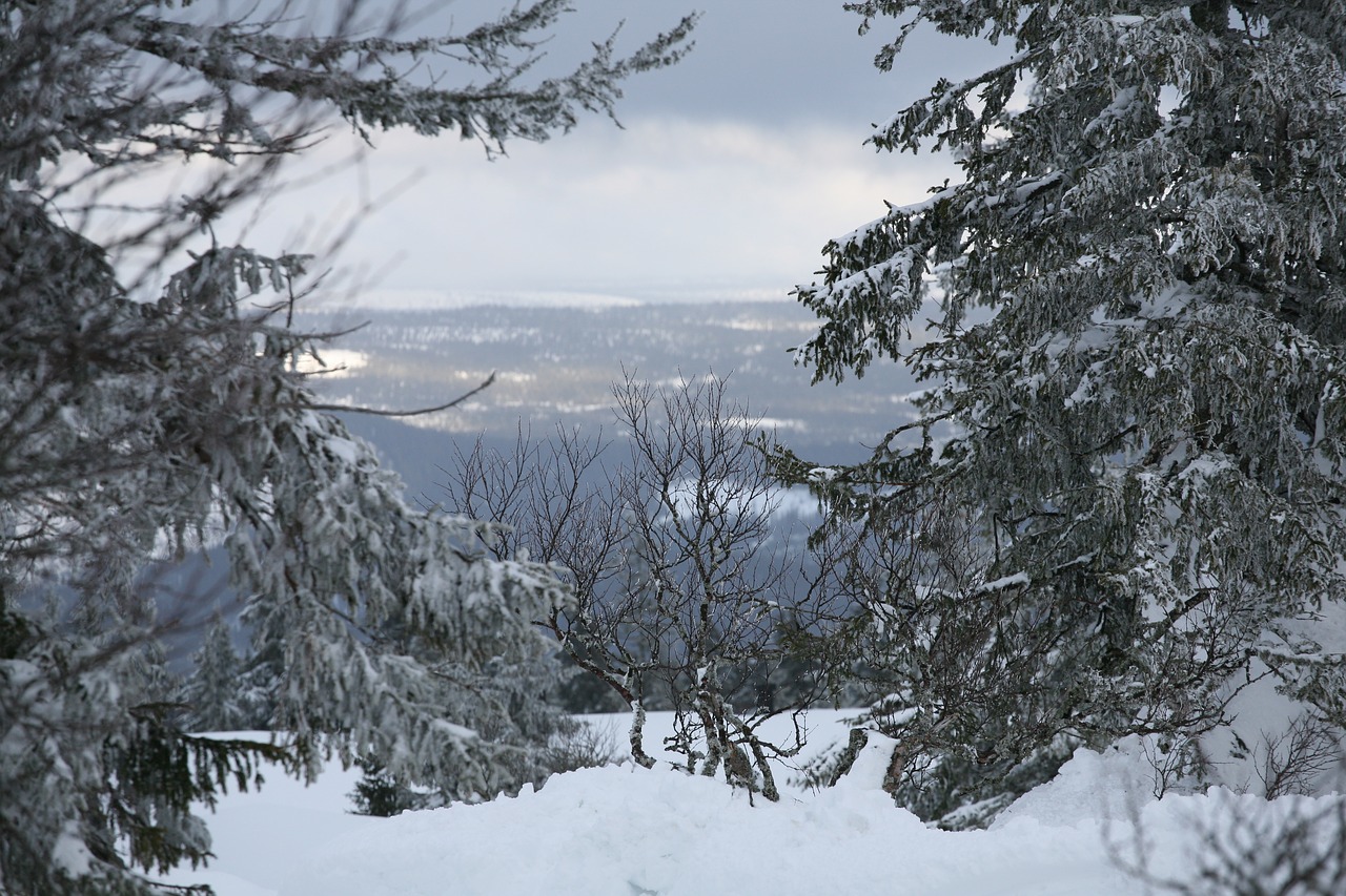 winter mountain snow free photo