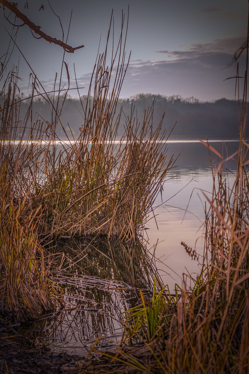 winter lake waterfront free photo