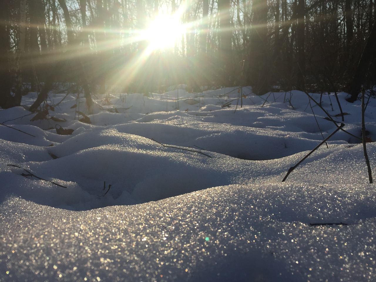 winter snow sun free photo