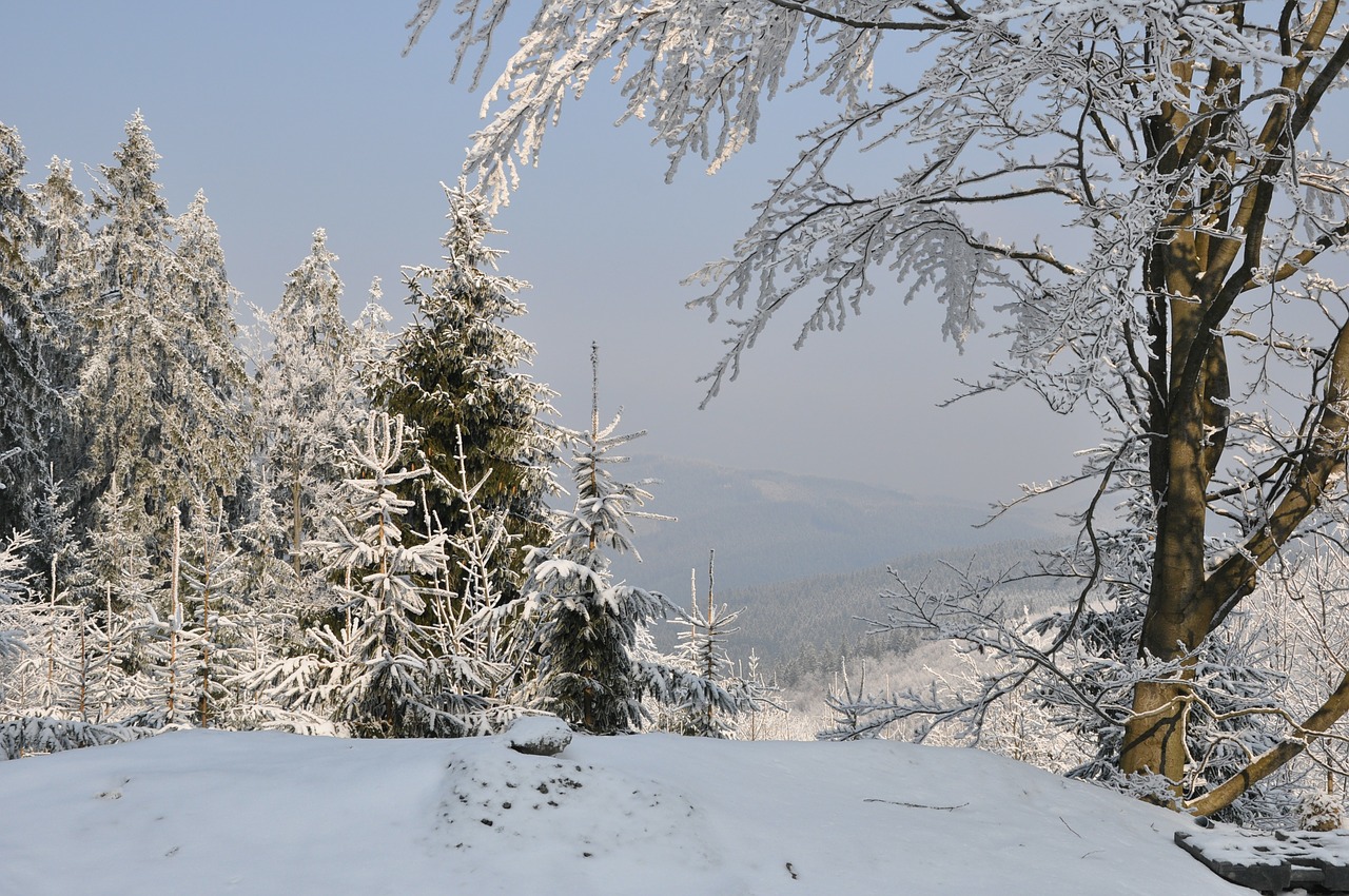 winter snow mountains free photo