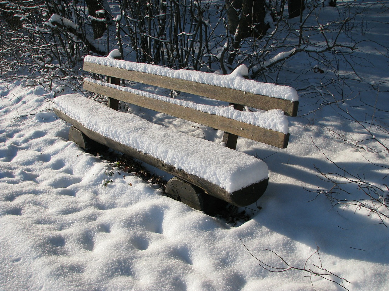 winter bank snow free photo