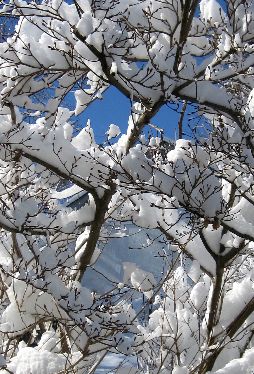 winter snow sky free photo