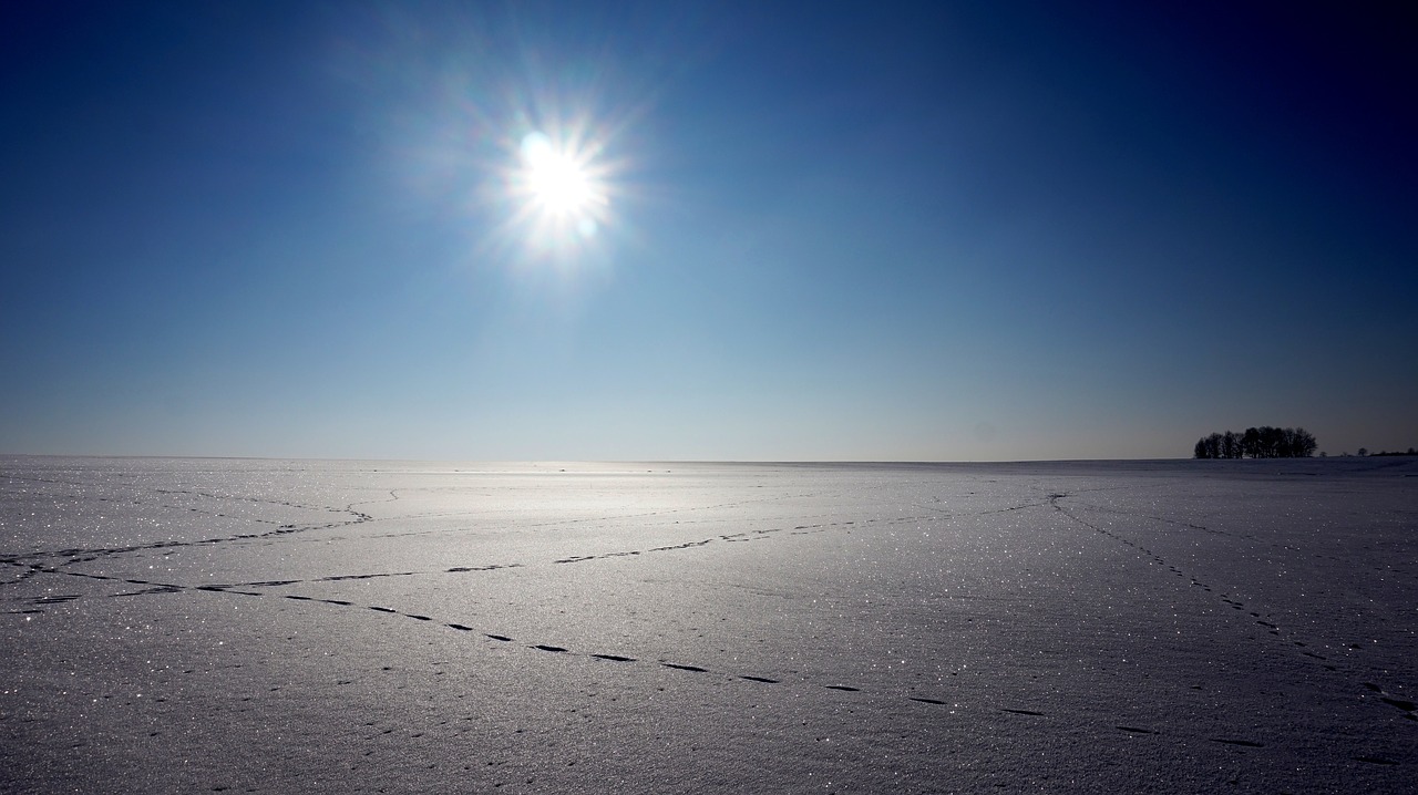 winter snow tracks free photo