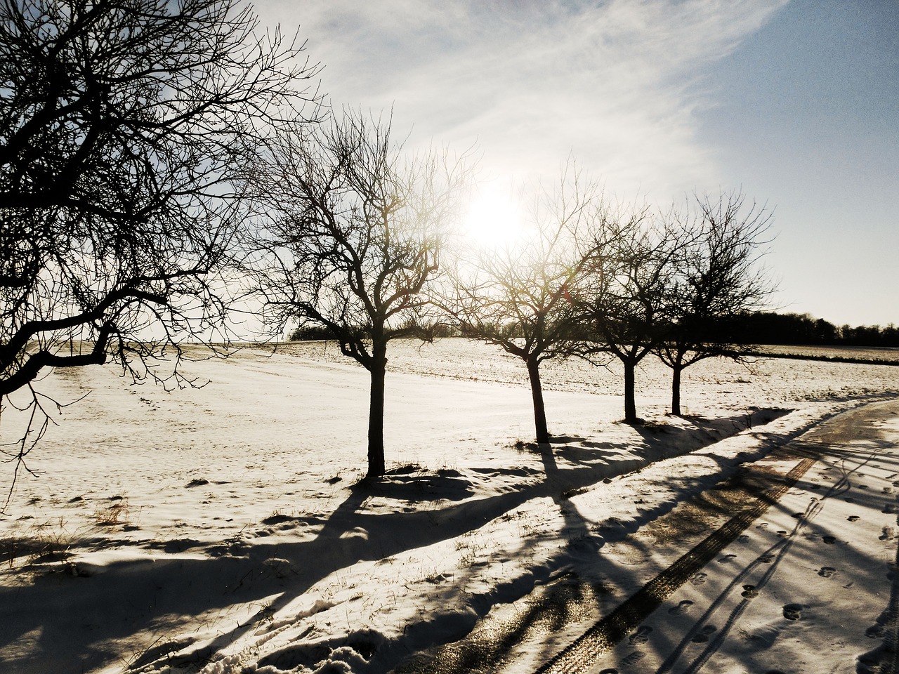 winter landscape snow free photo