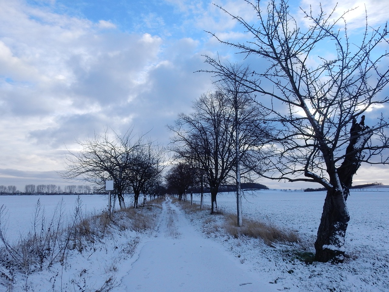 winter snow blue sky free photo