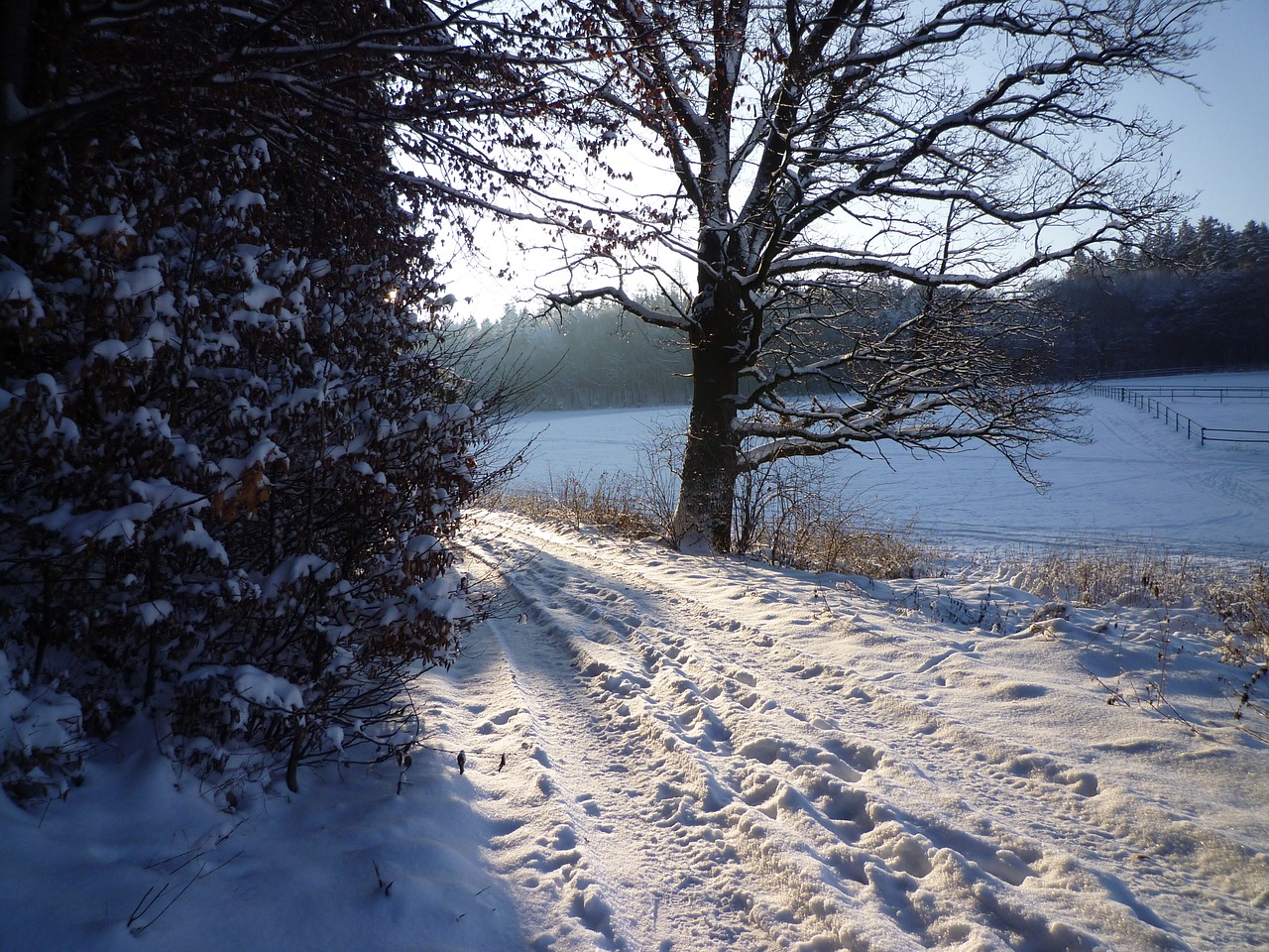 winter sunrise snow free photo