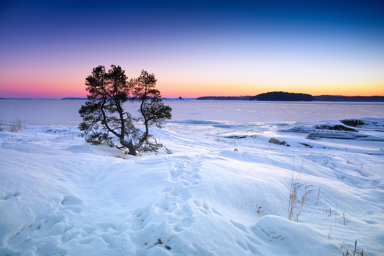 winter sea frozen free photo