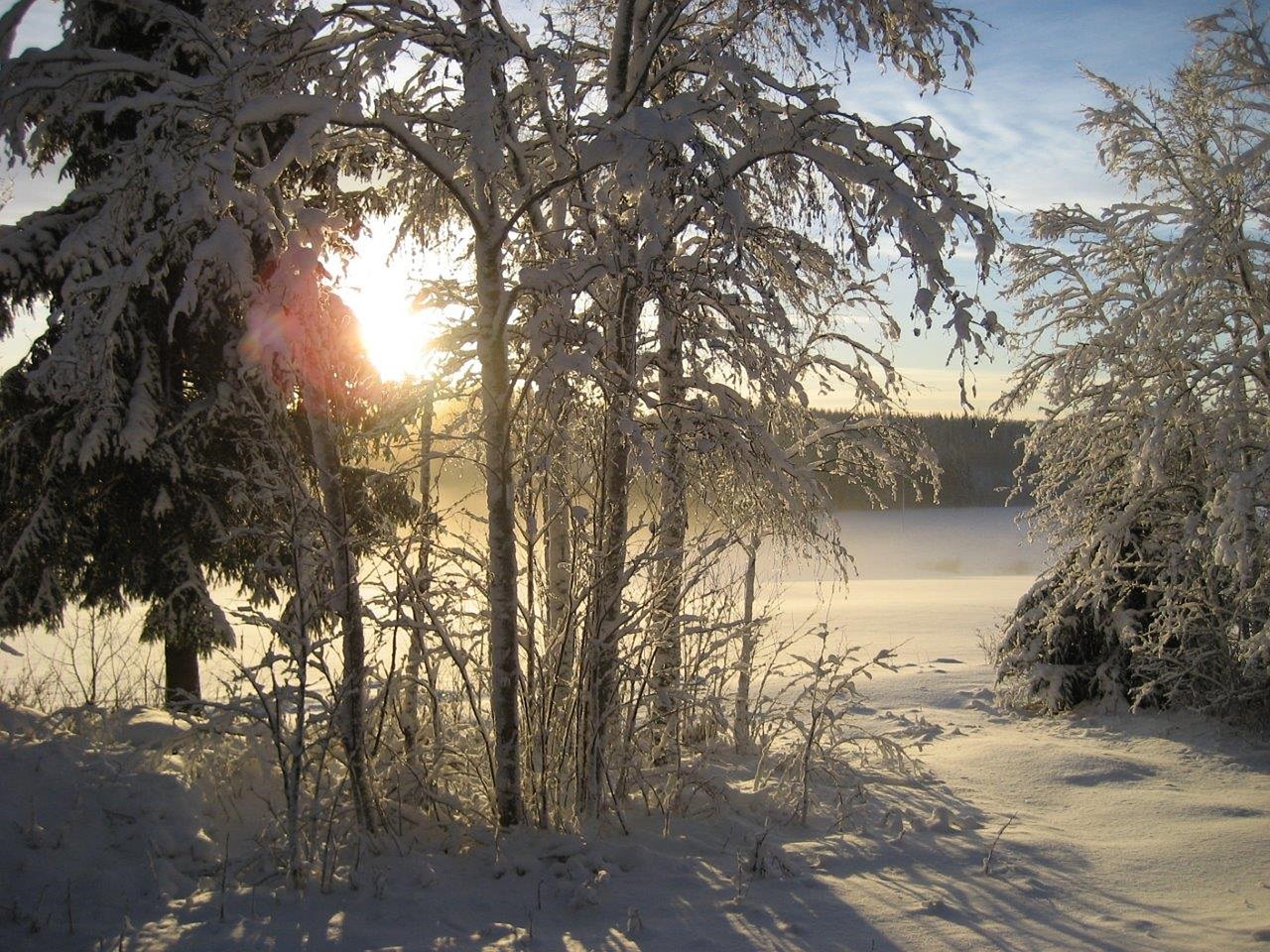 winter solar nature free photo