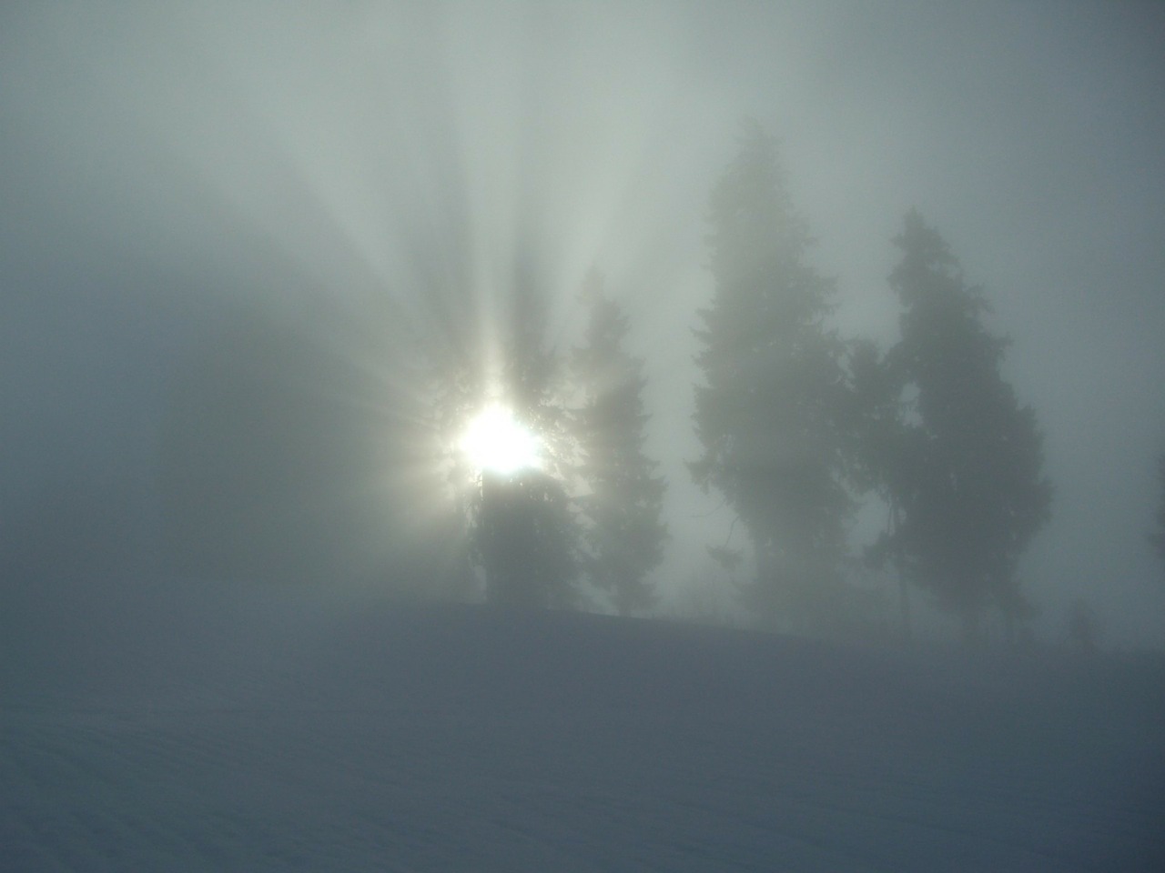 winter fog grey free photo