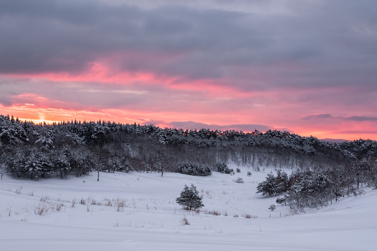 winter morning glow snow free photo