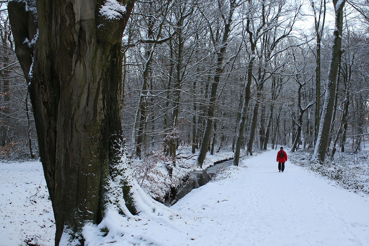 winter walkers snow free photo