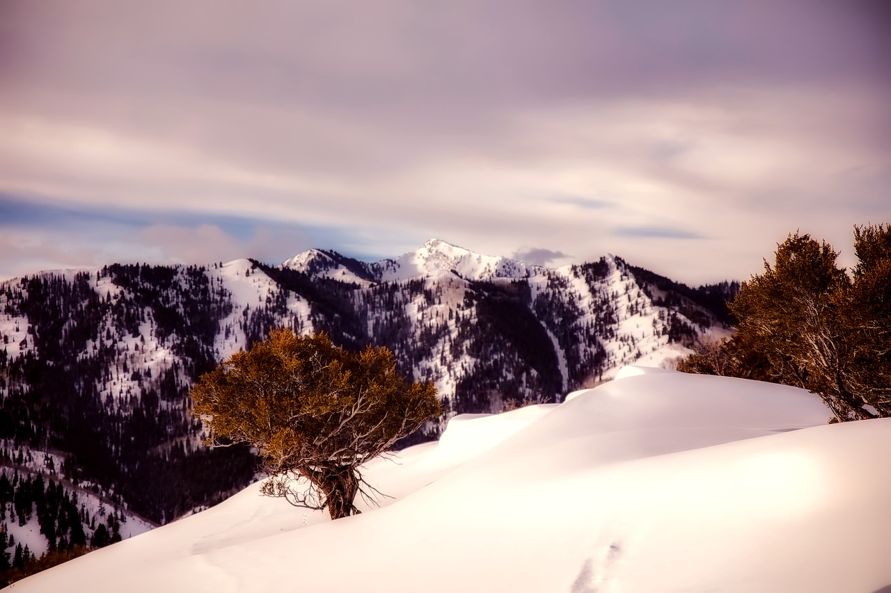 winter snow sky free photo