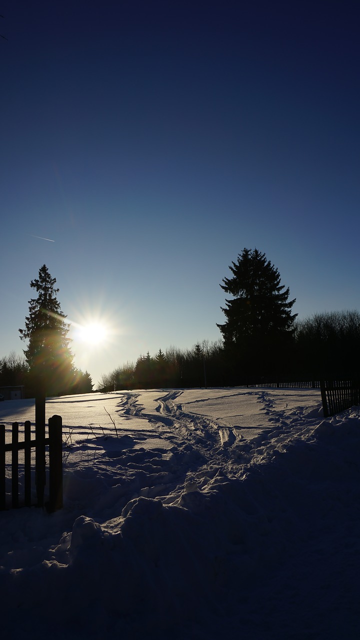 winter sun snow free photo