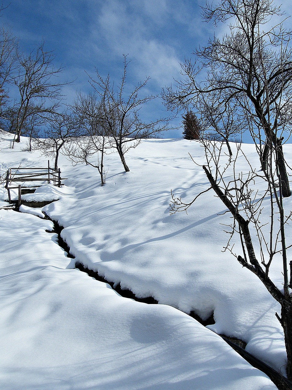 winter nature ice free photo